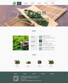 當(dāng)代網(wǎng)站設(shè)計(jì)的藝術(shù)與科學(xué) 打造卓越用戶體驗(yàn)的關(guān)鍵“全案”方案